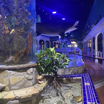 Key West Aquarium - Aquariums Near Me - Key West, Florida