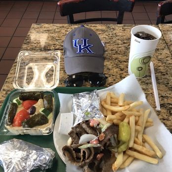 Mr. Gyros - Beef & Lamb Hummus & Dolmades Plate - Greek Near Me - Stuart, Florida