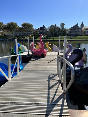 Asbury Park Pedal Boats by null