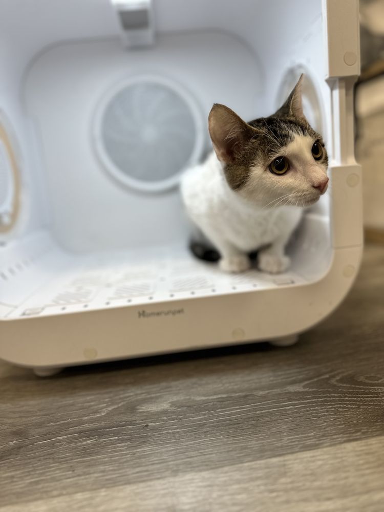 PET BELOVED Updated April 2024 836 Photos & 68 Reviews 6375 El