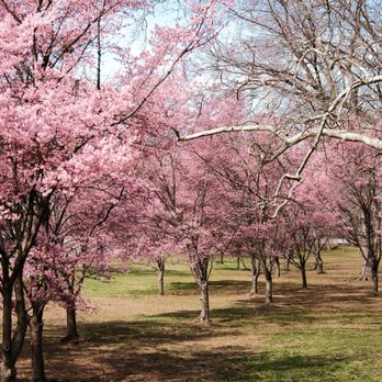 Branch Brook Park - Parks Near Me - Newark, New Jersey