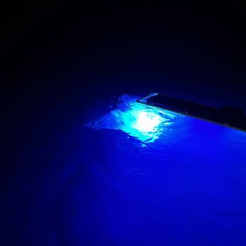 Manta Adventures - Boat Tours Near Me - Kailua-Kona, Hawaii Manta Adventures - Boat Tours Near Me - Kailua-Kona, Hawaii