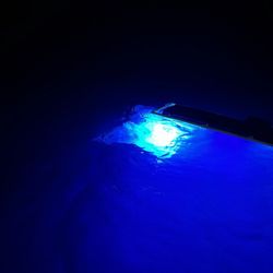 Manta Adventures