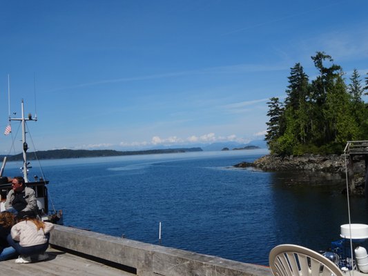 Telegraph Cove Resort by null