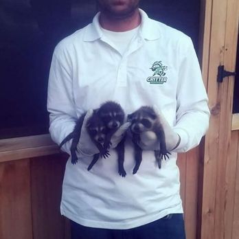 Critter Removers - Pest Control Near Me - Layton, Utah