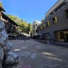 Bay Tree Bookstore gift card