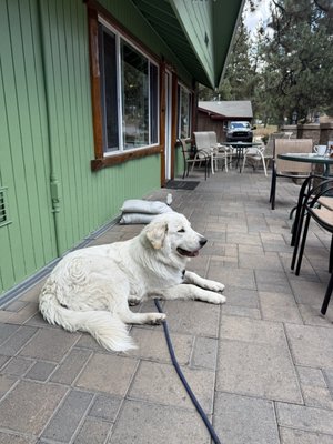 Lumberjack Cafe by null