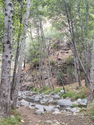 Eaton Canyon Falls by null
