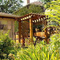 Sage Holistic Health - Pergola in the garden at the clinic