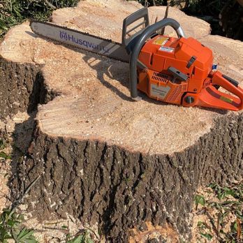 L.G. Land & Tree - Pin oak down - Tree Services Near Me L.G. Land & Tree - Pin oak down - Tree Services Near Me