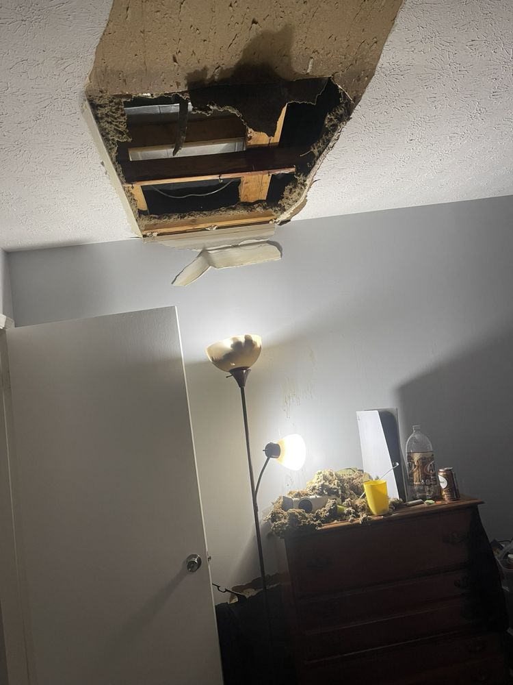 Chalk And Gibbs Services at Cheryl Petersen blog