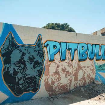 Juarez Walking Tour - Walking Tours Near Me