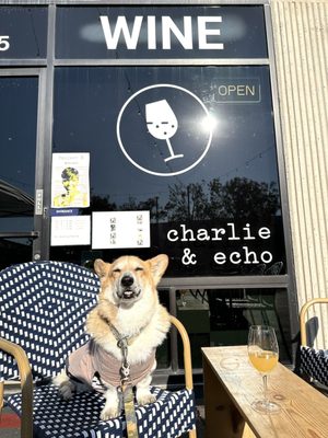 Charlie & Echo by null