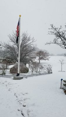 Owl's Head Park by null
