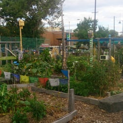 Peanut Farm Reserve - The Community Gardens