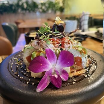 Novu Fusion - Novu Roll - Sushi Bars Near Me - Doral, Florida