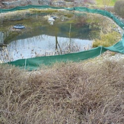 Naturschwimmbad