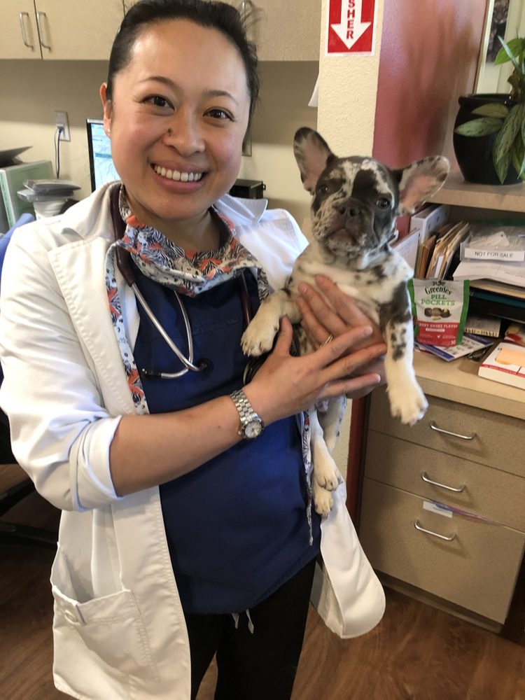 Photos of CLAUS PAWS ANIMAL HOSPITAL Updated August 2024 33 Photos