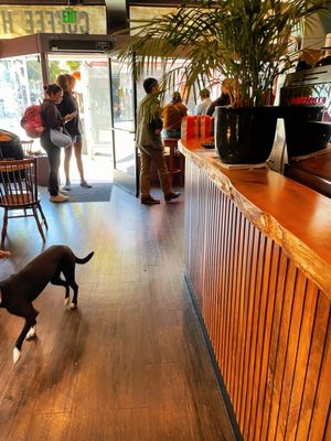 Wooden Coffeehouse by null