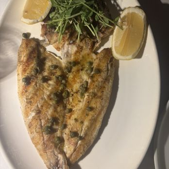 Ocean Grill - Branzino - Mediterranean Near Me - Miami Beach, Florida Ocean Grill - Branzino - Mediterranean Near Me - Miami Beach, Florida