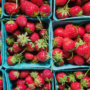 Holcomb Farm - Fresh berries. - Community Service/Non-Profit Near Me - West Granby, Connecticut