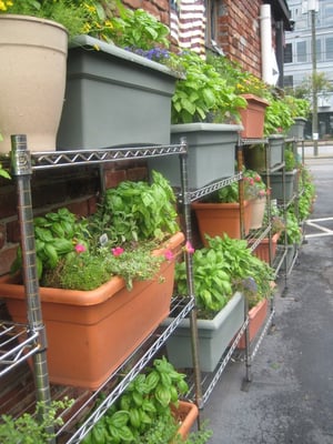 R. Thomas Deluxe Grill by null