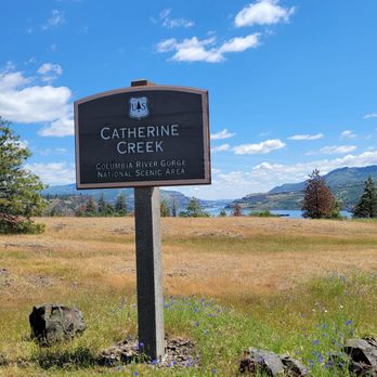 Catherine Creek Trail - Hiking Near Me - Lyle, Washington