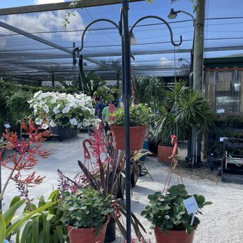 Casaplanta Garden Center - Nurseries & Gardening Near Me - Miami, Florida Casaplanta Garden Center - Nurseries & Gardening Near Me - Miami, Florida