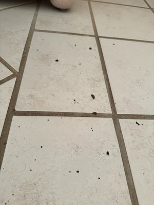 Posada Real Los Cabos by null