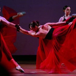 Step by Step Dance