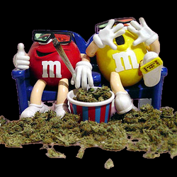 Da Good Guyz