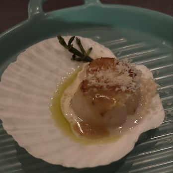 Sorghum & Salt - (Snack ) scallop $16 for 1.  It was cooked perfectly. Flavor was good. - Tapas/Small Plates Near Me - Charleston, South Carolina