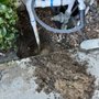 Photo of Rey's Irrigation Repair Service
