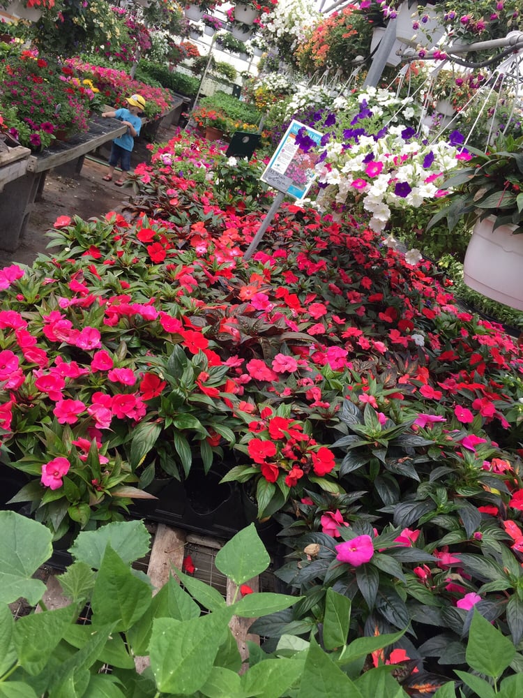 BOTTICELLO FARMS Updated August 2024 12 Reviews 209 Hillstown Rd