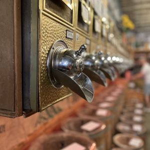 WHEELFISH - Updated June 2024 - 227 Photos & 228 Reviews - 635 Sangree ...