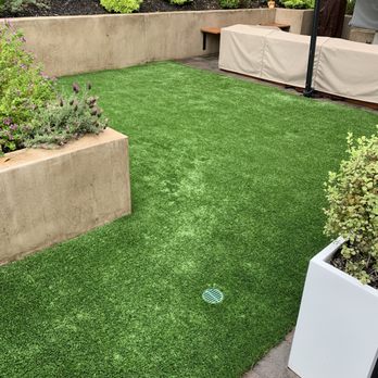 TurForte - Artificial Turf Near Me - Santa Ana, California TurForte - Artificial Turf Near Me - Santa Ana, California
