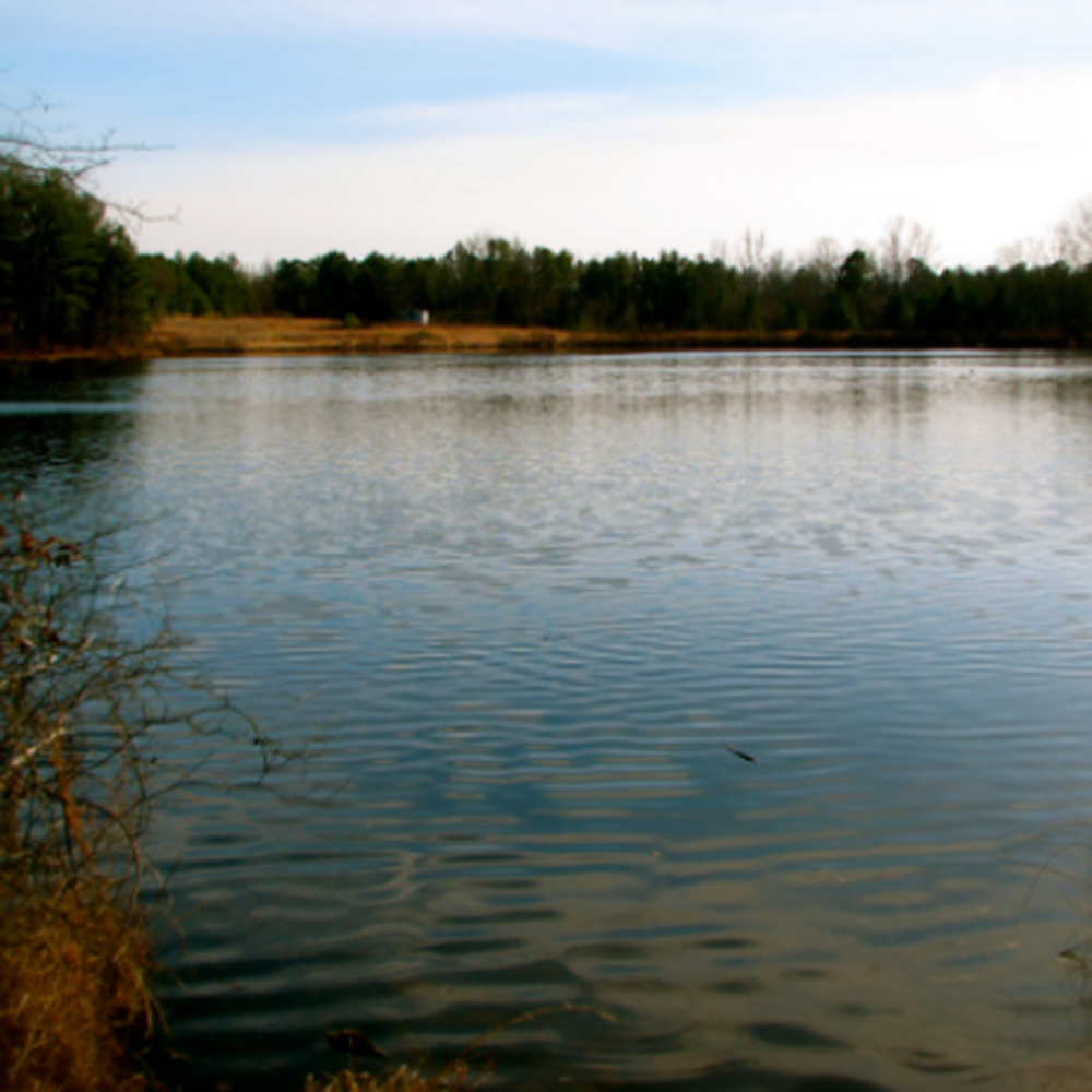 Arabia Mountain Trail - Climbing Near Me - Lithonia, Georgia Arabia Mountain Trail - Climbing Near Me - Lithonia, Georgia