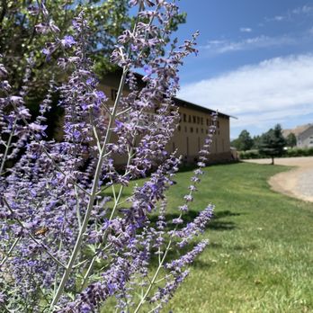 Grande River Vineyards - Lavender and Grande River Winery - Wine Tours Near Me - Palisade, Colorado Grande River Vineyards - Lavender and Grande River Winery - Wine Tours Near Me - Palisade, Colorado