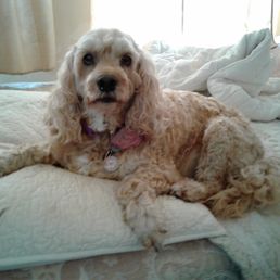 Bella Pavich, 16 years old Bella Pavich, 16 years old