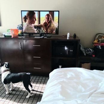 La Quinta by Wyndham Bellingham - Hotels Near Me - Bellingham, Washington La Quinta by Wyndham Bellingham - Hotels Near Me - Bellingham, Washington
