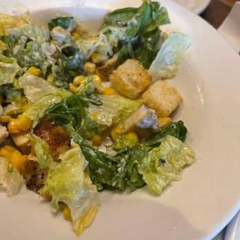 Cheddar's Scratch Kitchen - Fly in the salad. - American Near Me - Jacksonville, Florida