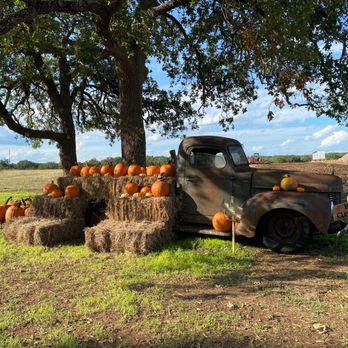 Bulverde Pumpkin Patch - Pumpkin Patches Near Me - Bulverde, Texas