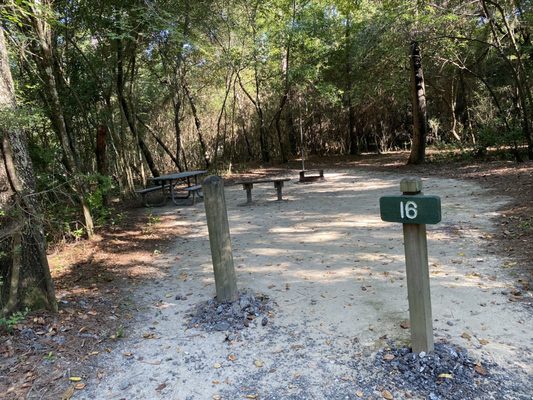 Lake Houston Wilderness Park by null