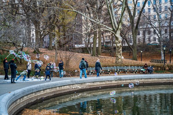 Alice in Wonderland by null