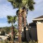 Photo of EnviroTec Lawn Care