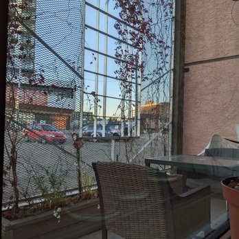 The Moth Cafe - Patio - Vegan Near Me - Edmonton, Alberta The Moth Cafe - Patio - Vegan Near Me - Edmonton, Alberta