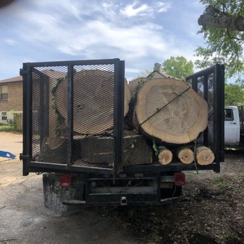 Langford Tree Care - Big tree - Tree Services Near Me - Hendersonville, Tennessee Langford Tree Care - Big tree - Tree Services Near Me - Hendersonville, Tennessee