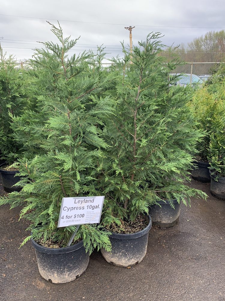 GASKO’S FAMILY FARMS 76 Photos & 148 Reviews 112 Federal Rd, Monroe