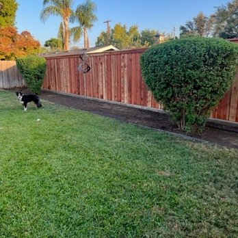 Top Choice Fencing - Fences & Gates Near Me - Fresno, California Top Choice Fencing - Fences & Gates Near Me - Fresno, California