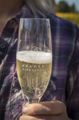 Kramer Vineyards by null